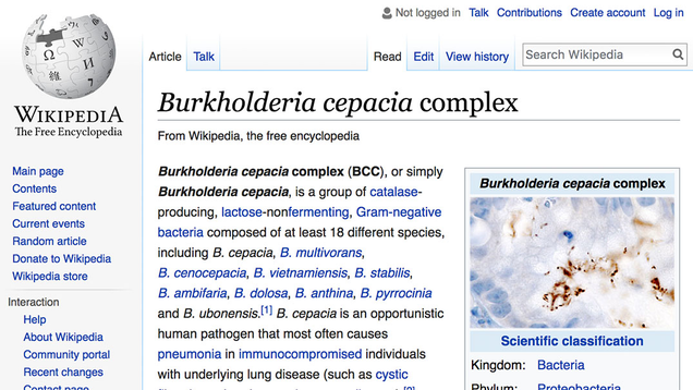 Illustration for article titled Trolling Master Class: Some Genius Prankster Uploaded A Photo Of Helicobacter Pylori Bacteria To The Wikipedia Page For Burkholderia Cenocepacia